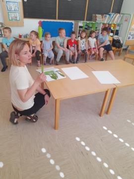 image_s7