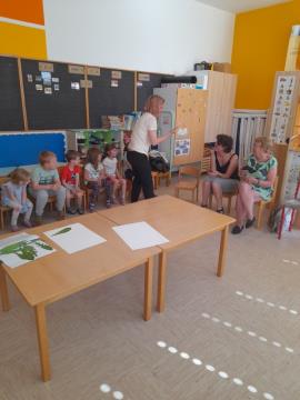 image_s8
