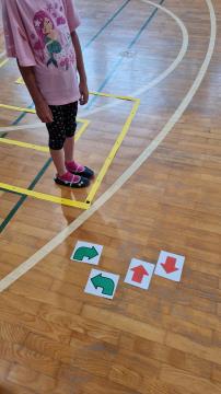 444485528_1043101457361171_5911892460307381795_n